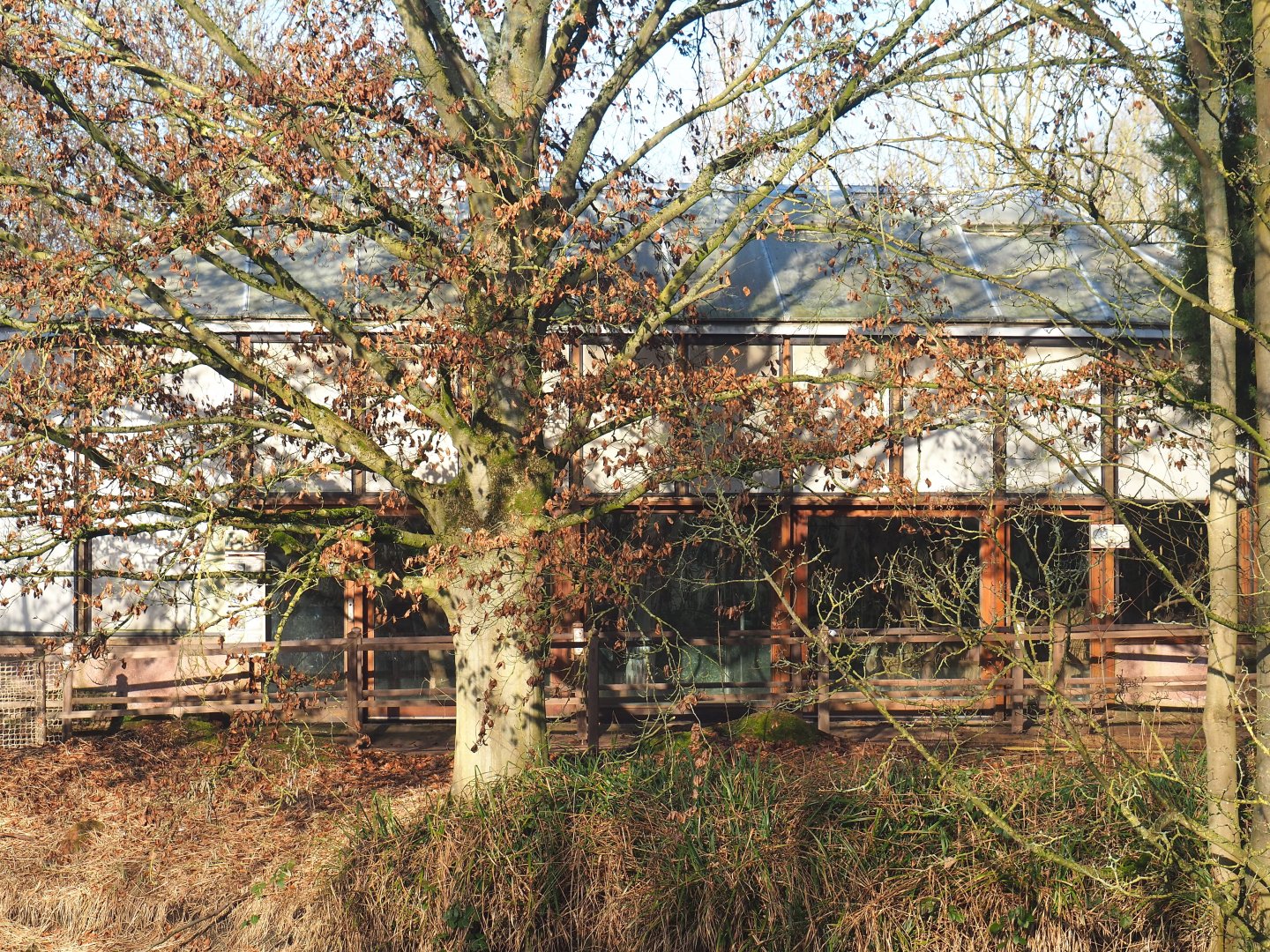 Oceania area renovation - Koala/Pademelon house with removed viewing area awning, 2022-01-30
