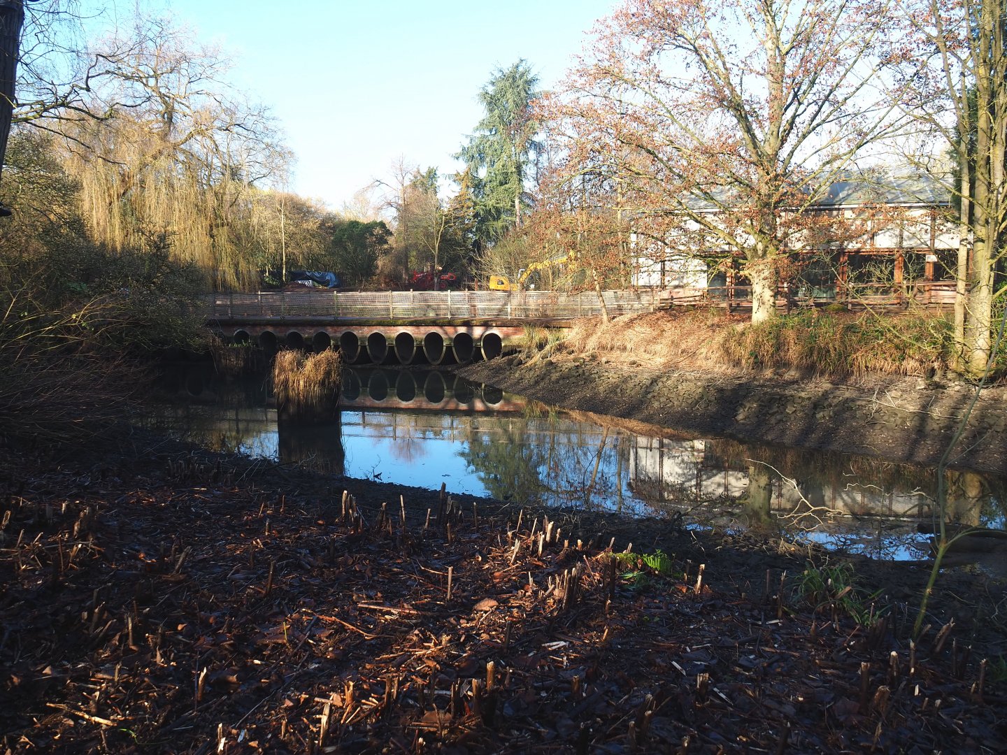 Oceania area renovation - Partially drained pond,  2022-01-30