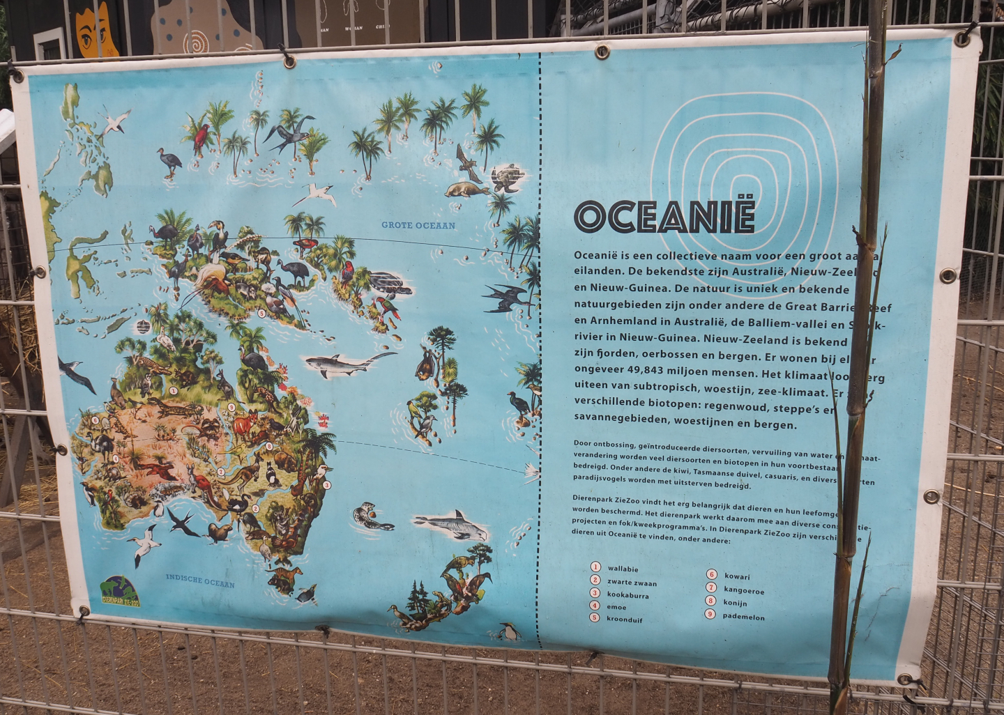 Oceania education signage with species drawing, 2022-05-17