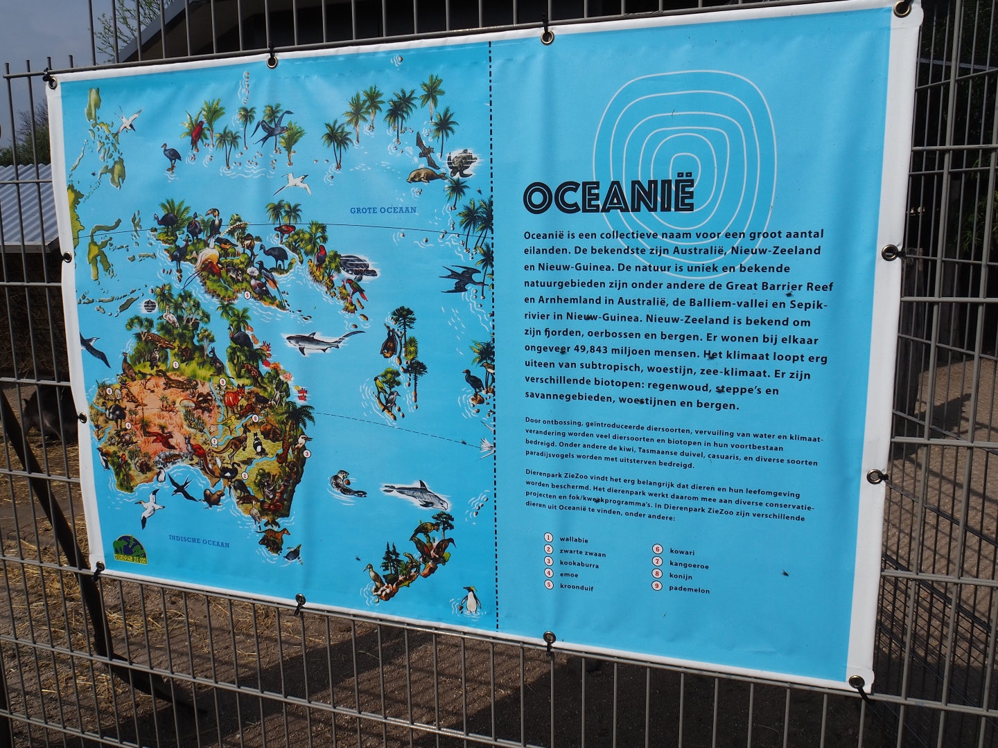 Oceania fence banner, 2019-04-06