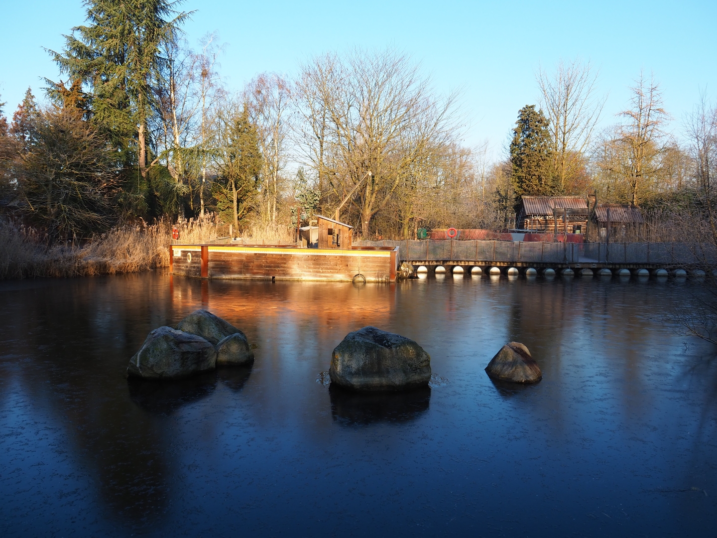 Oceania section pond (Jan 20th, 2019)