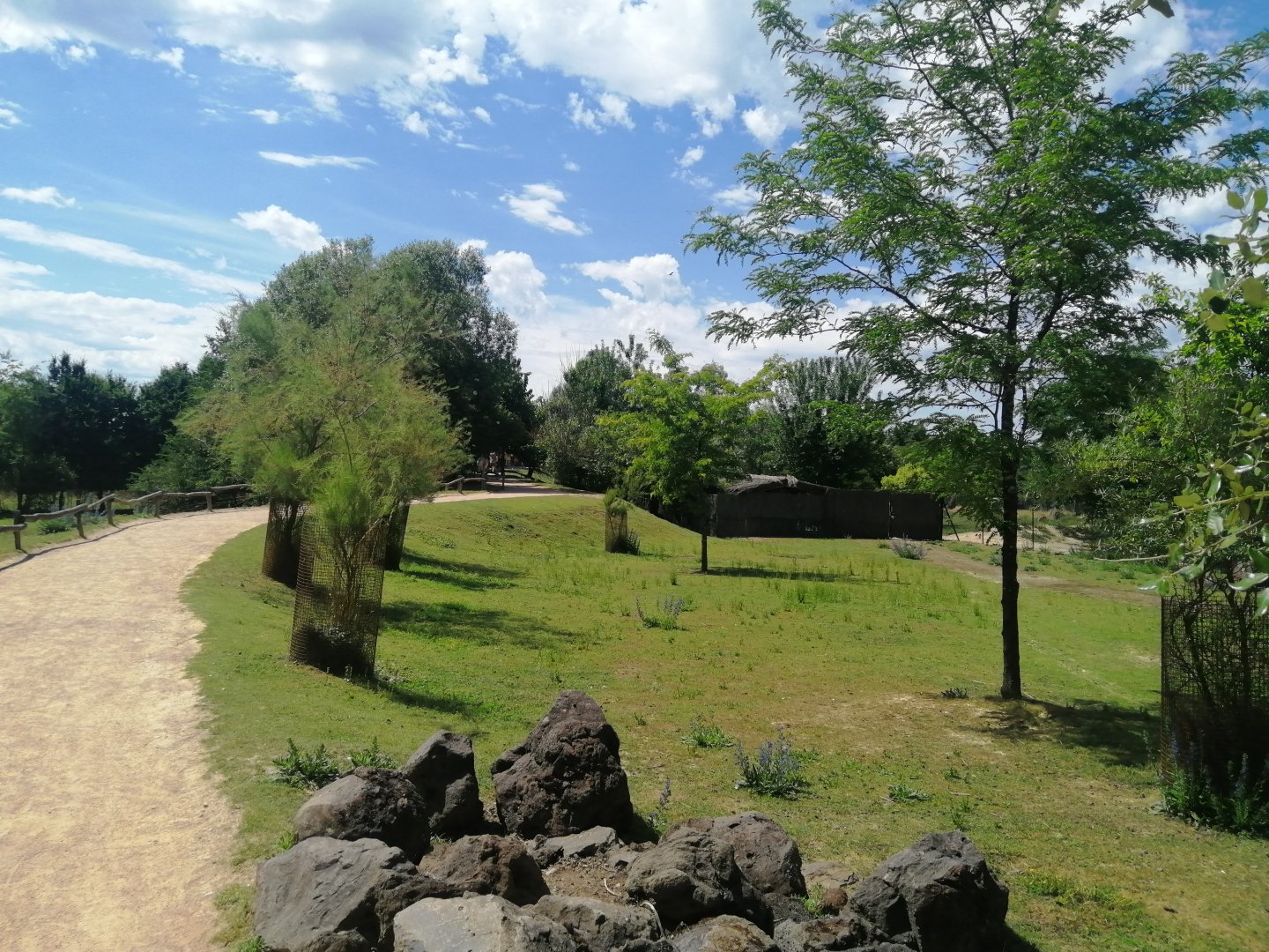 Oceania - Walkthrough with Wallaby