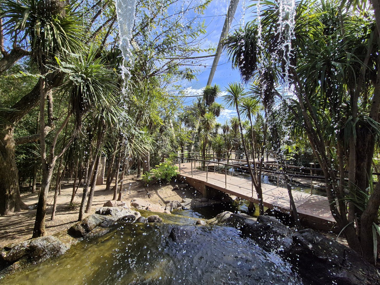 Oceania Walktrough aviary