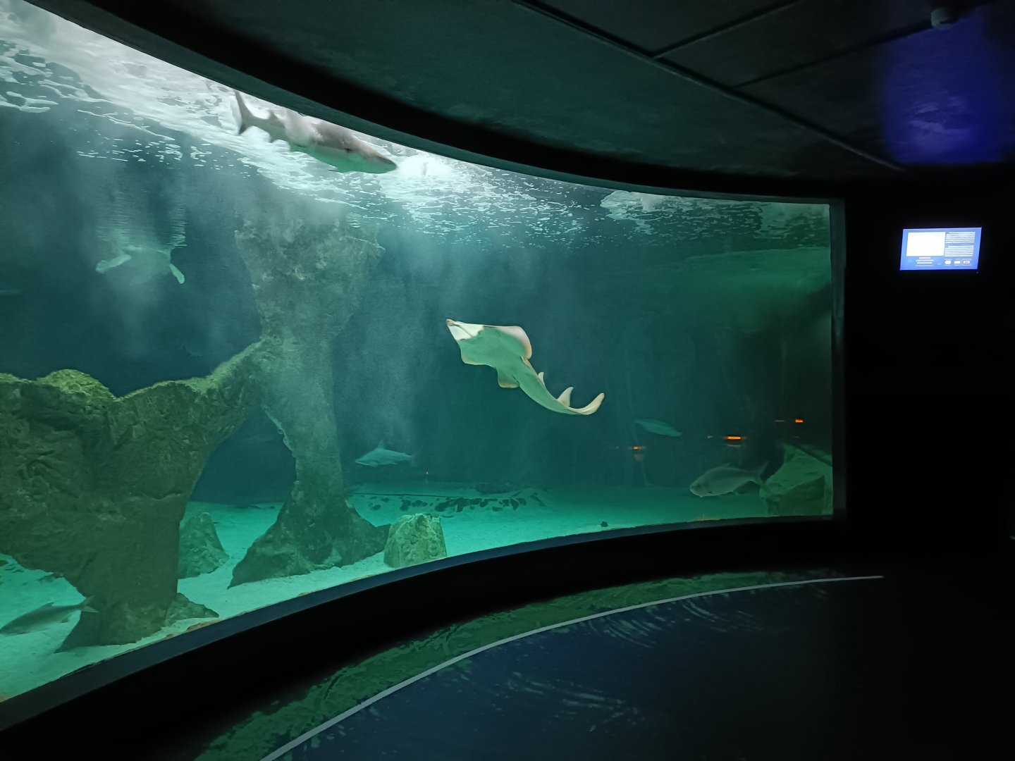Oceanic exhibit