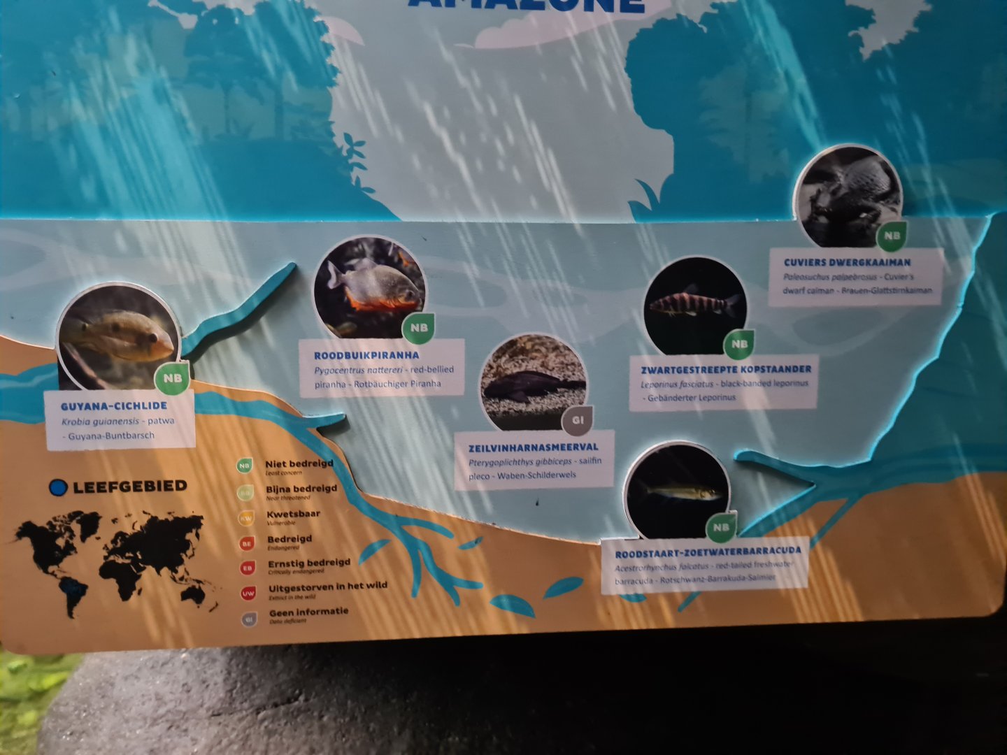 Oceanium - Amazon aquarium signage