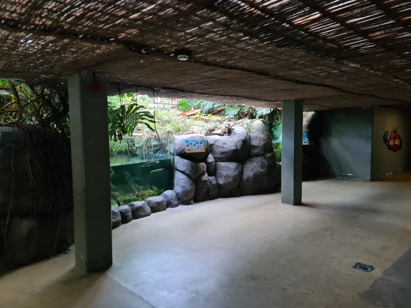 Oceanium - Amazon tanks