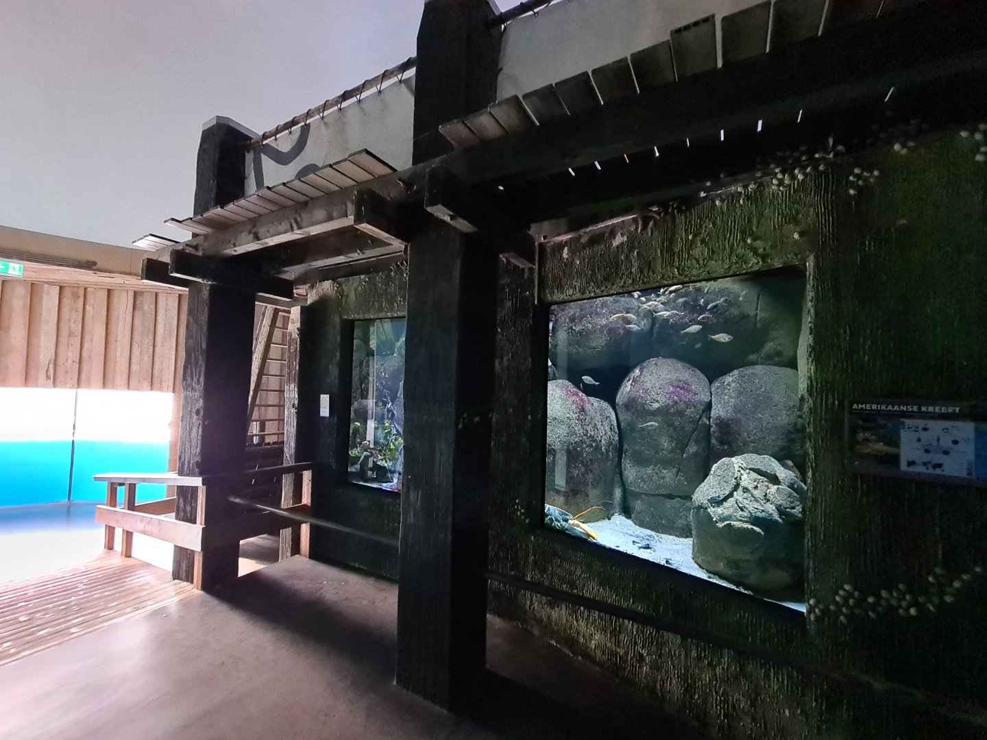 Oceanium - American lobster and Shiner perch aquarium