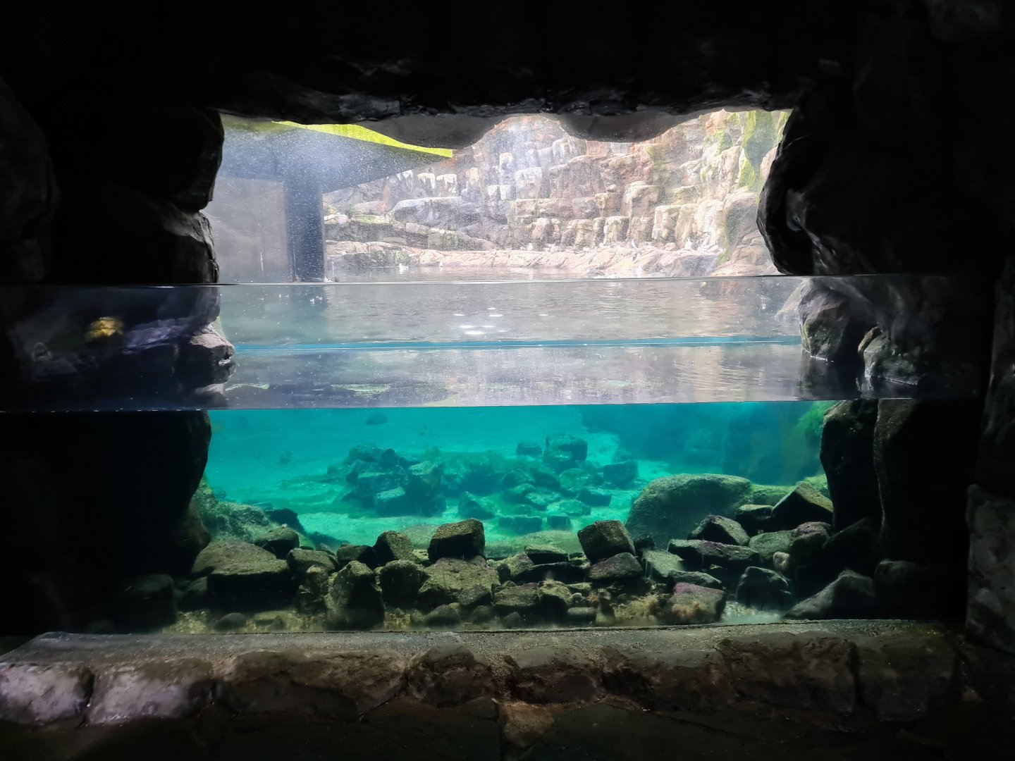 Oceanium - Aquarium between Tide pool area and Bass rock