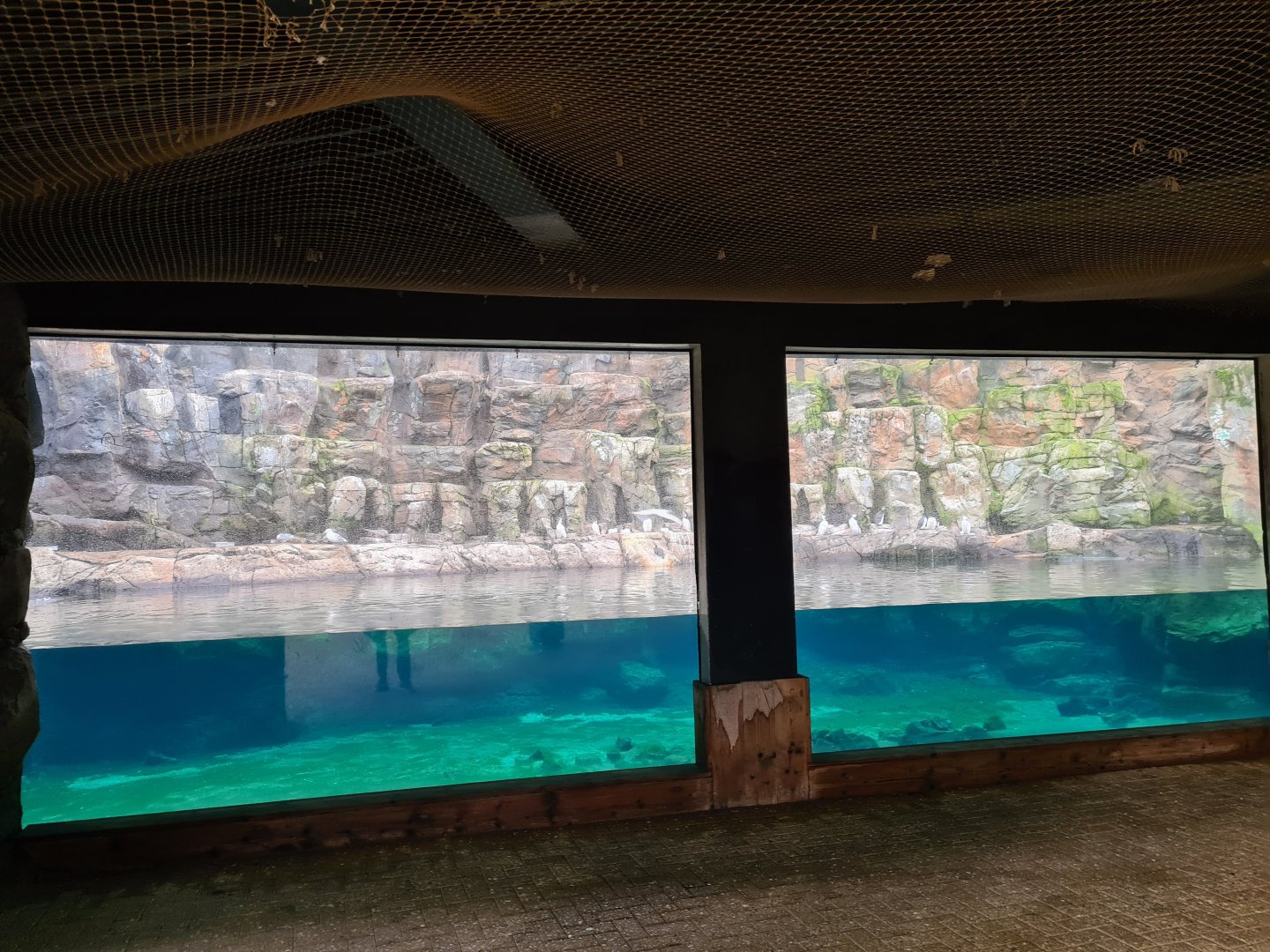 Oceanium - Bass Rock viewing point