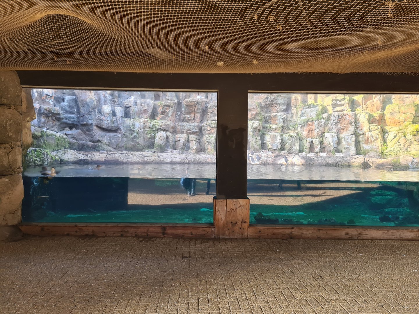 Oceanium - Bass Rock viewing point