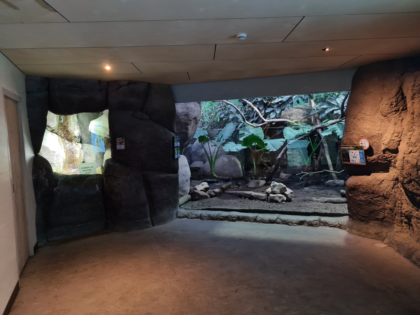 Oceanium - Bird enclosure (right) and Colorado river toad enclosure (left)