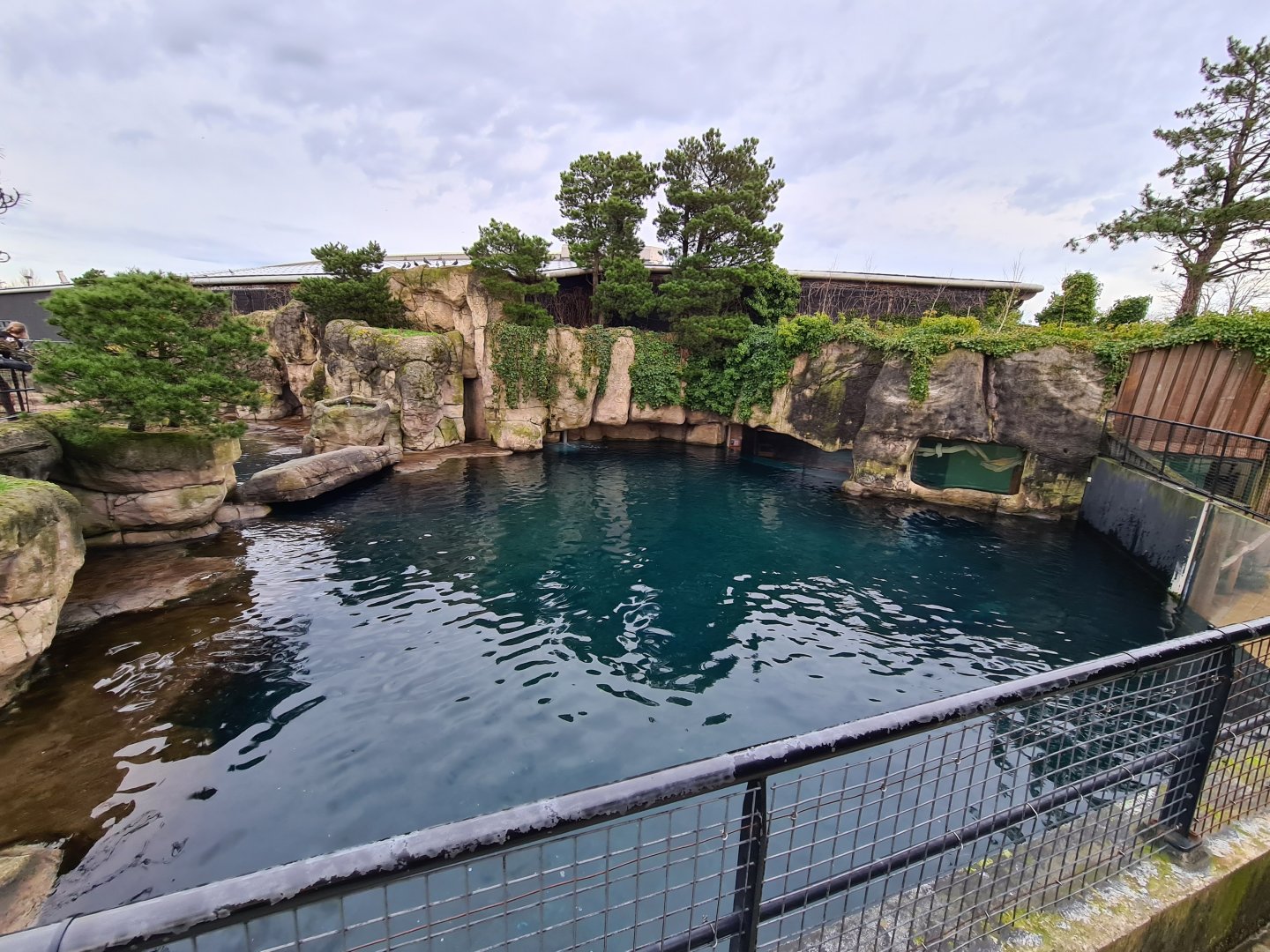 Oceanium - California sea lion enclosure