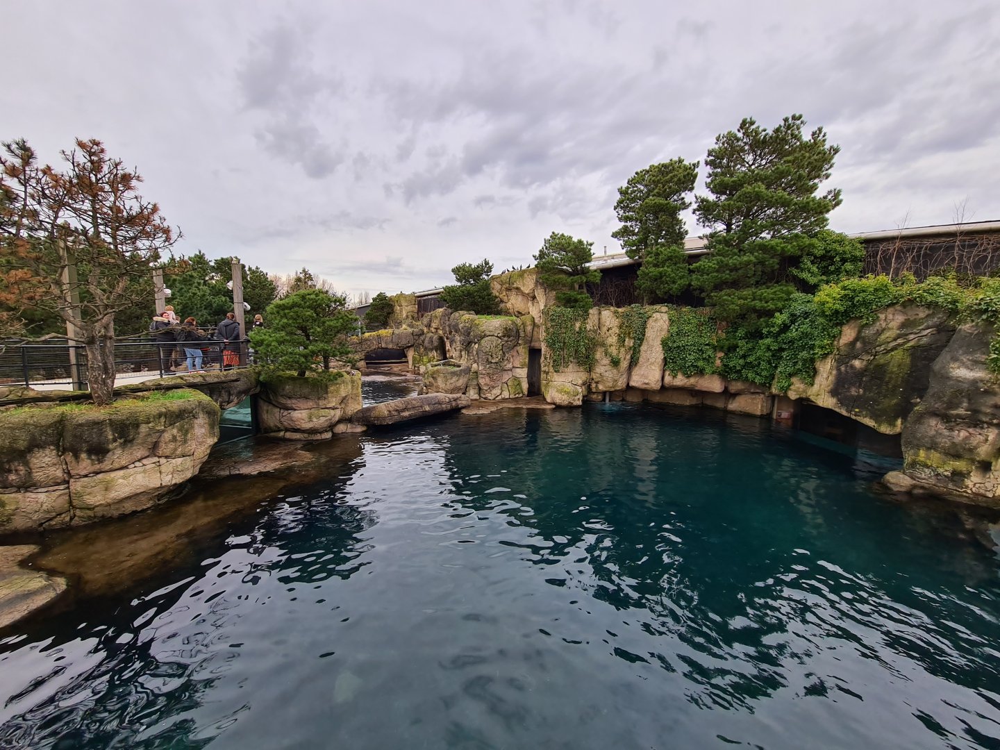 Oceanium - California sea lion enclosure