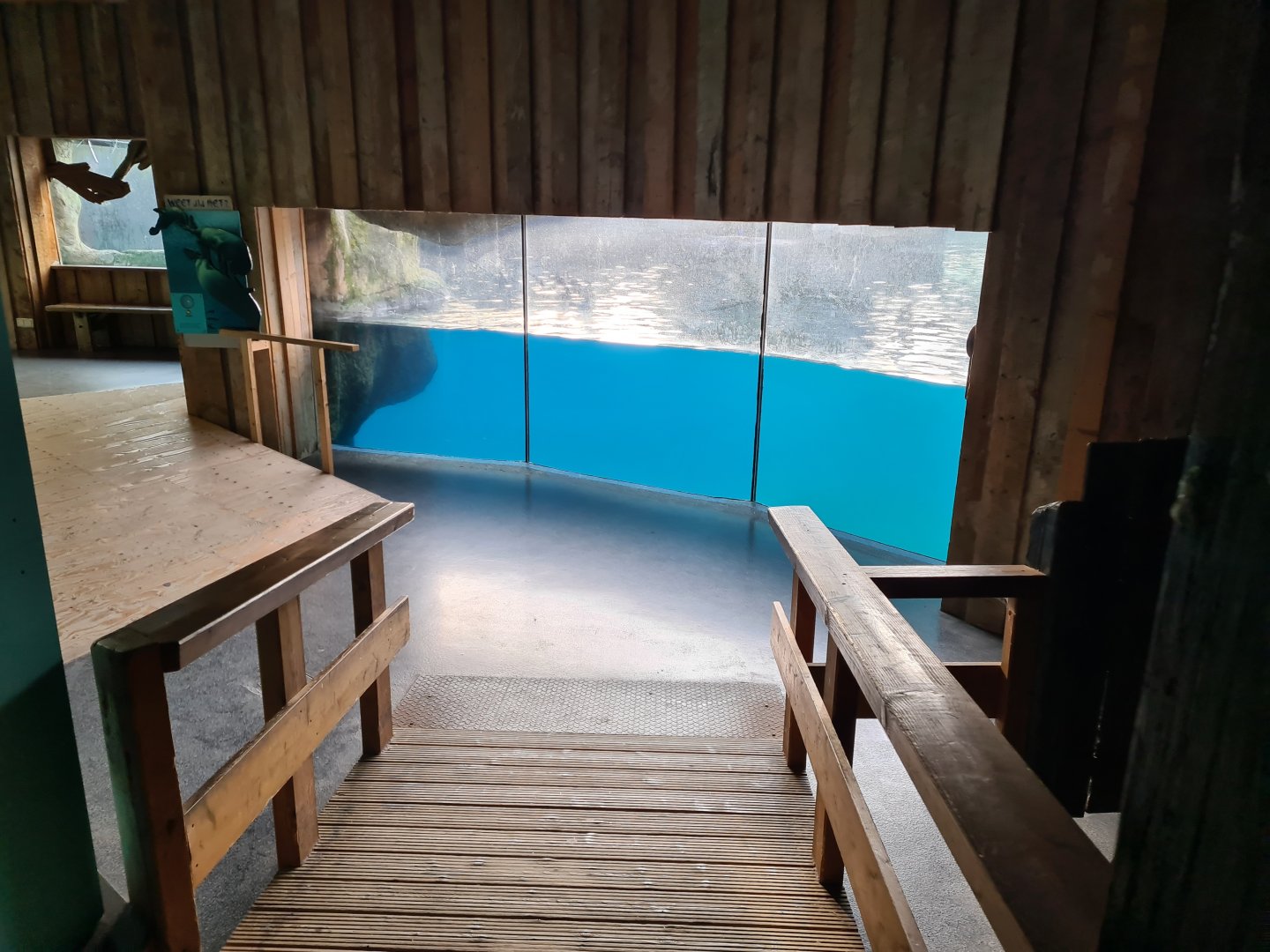 Oceanium - California sea lion viewing point