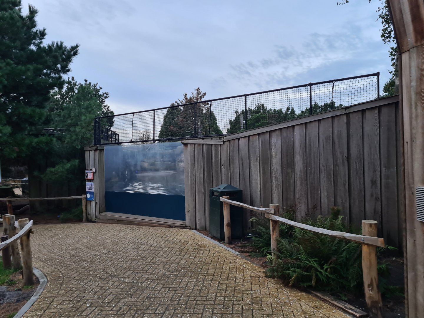 Oceanium - California sea lion viewing point