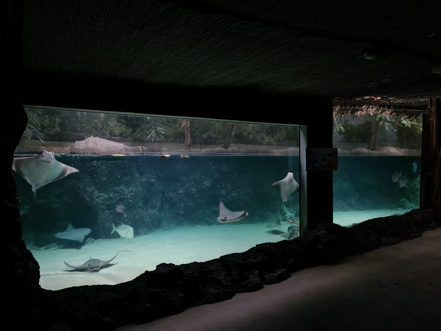 Oceanium - Caribbean beach aquarium