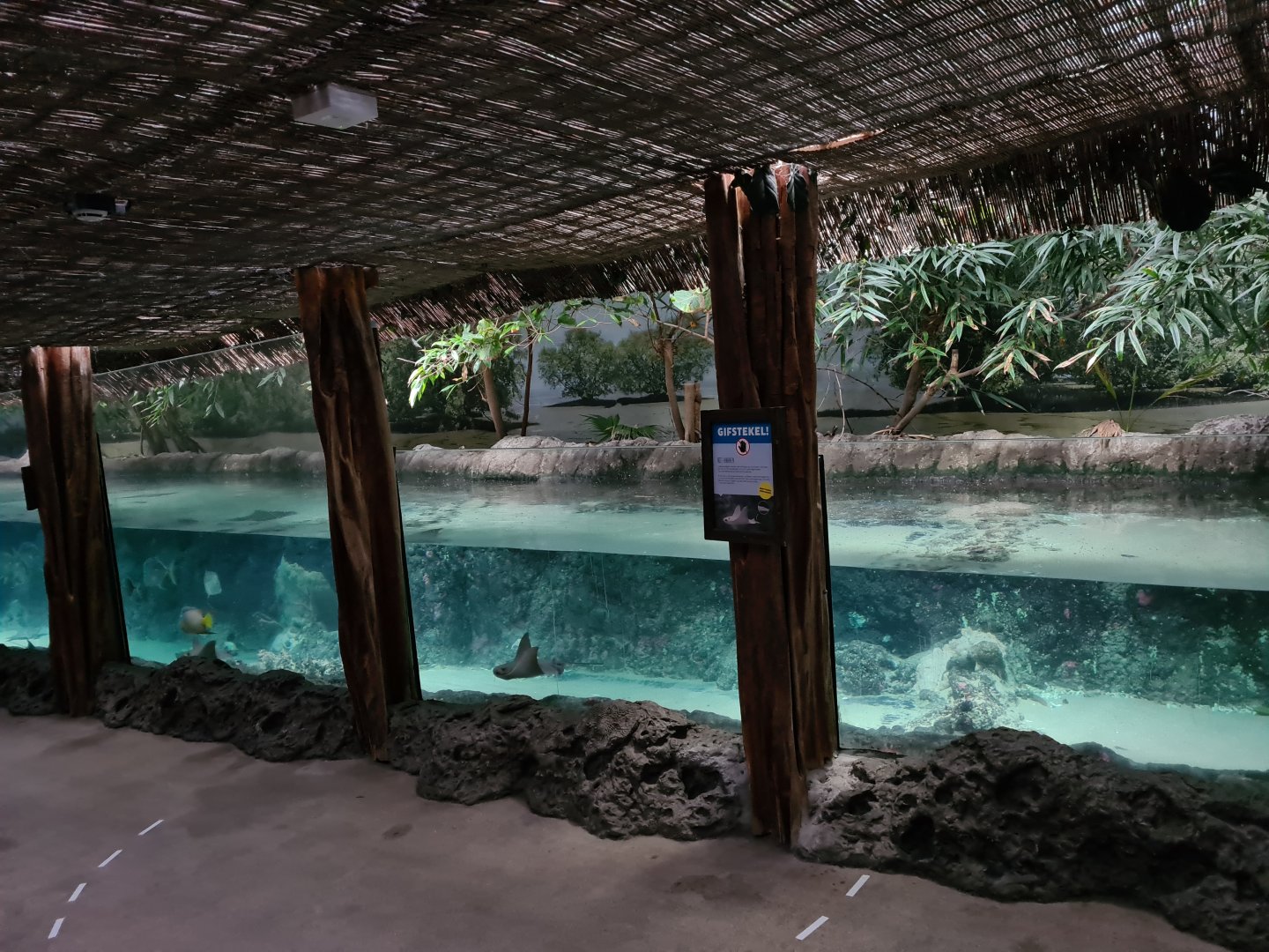 Oceanium - Caribbean beach aquarium