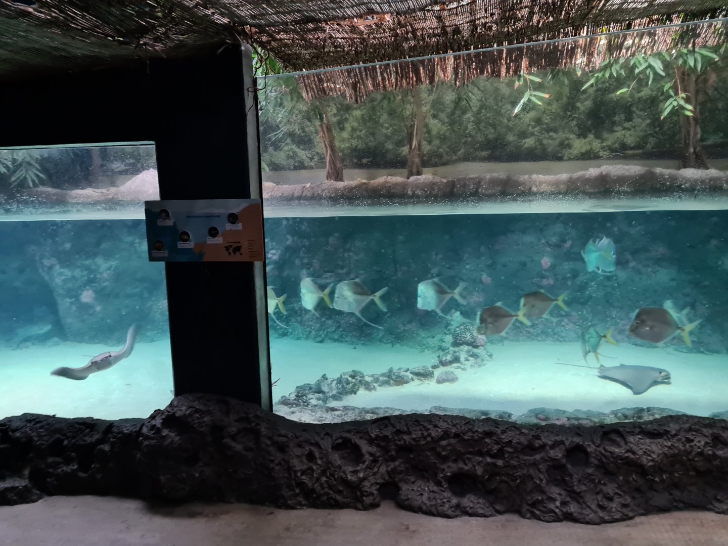 Oceanium - Caribbean beach aquarium