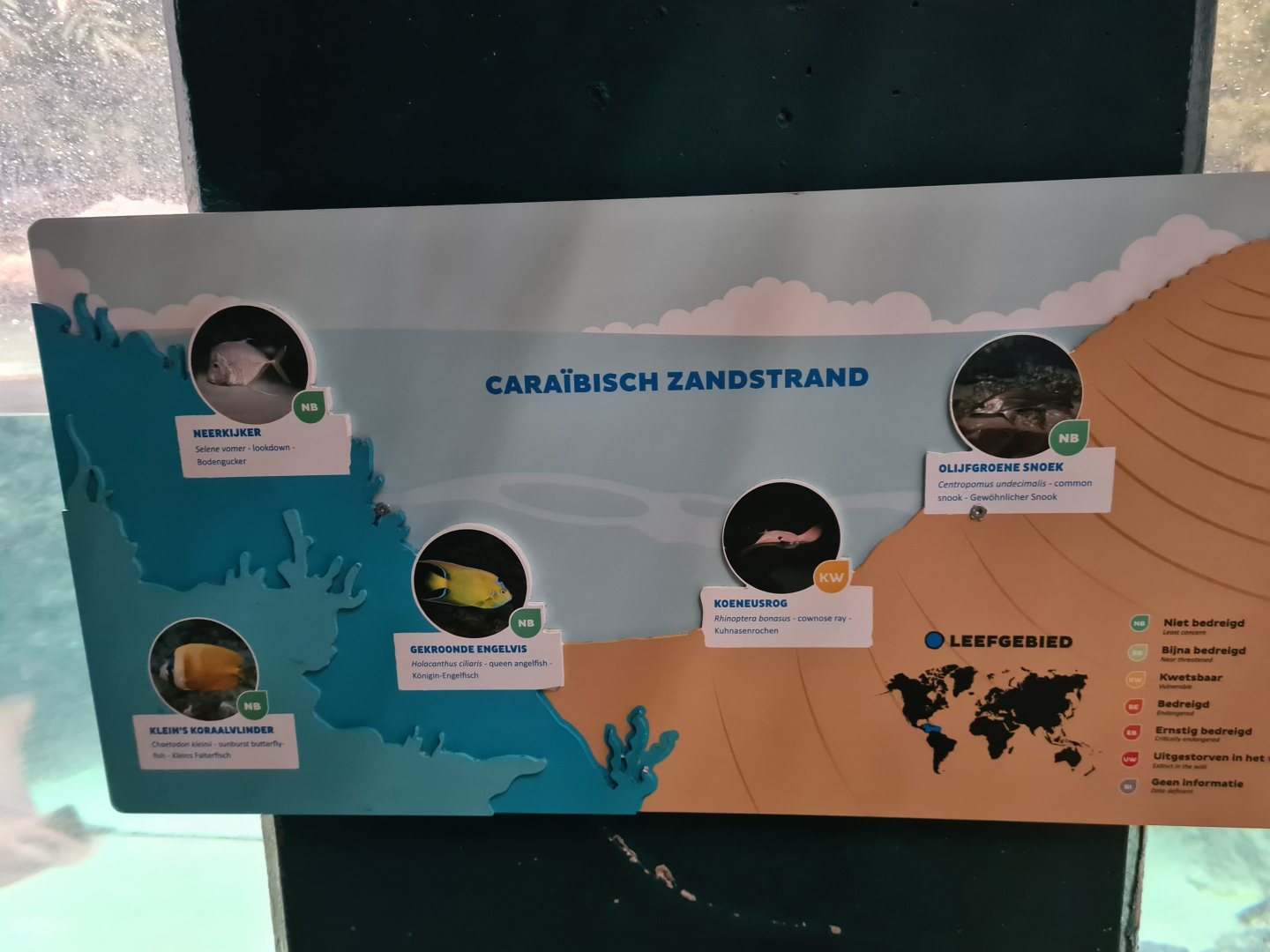 Oceanium - Caribbean beach signage