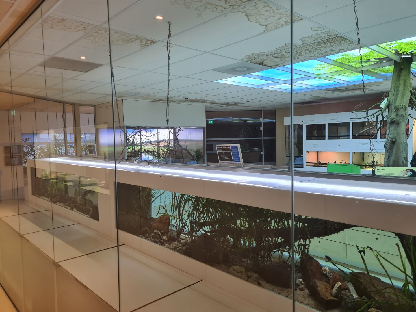 Oceanium - Conservation centre