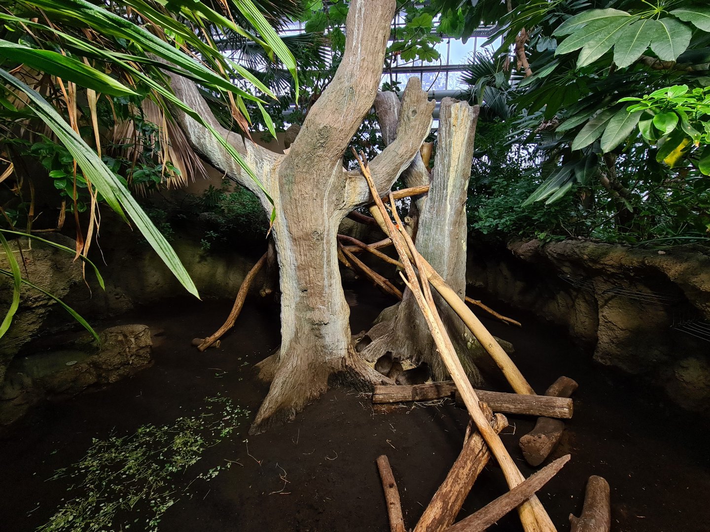 Oceanium - Cuban hutia enclosure