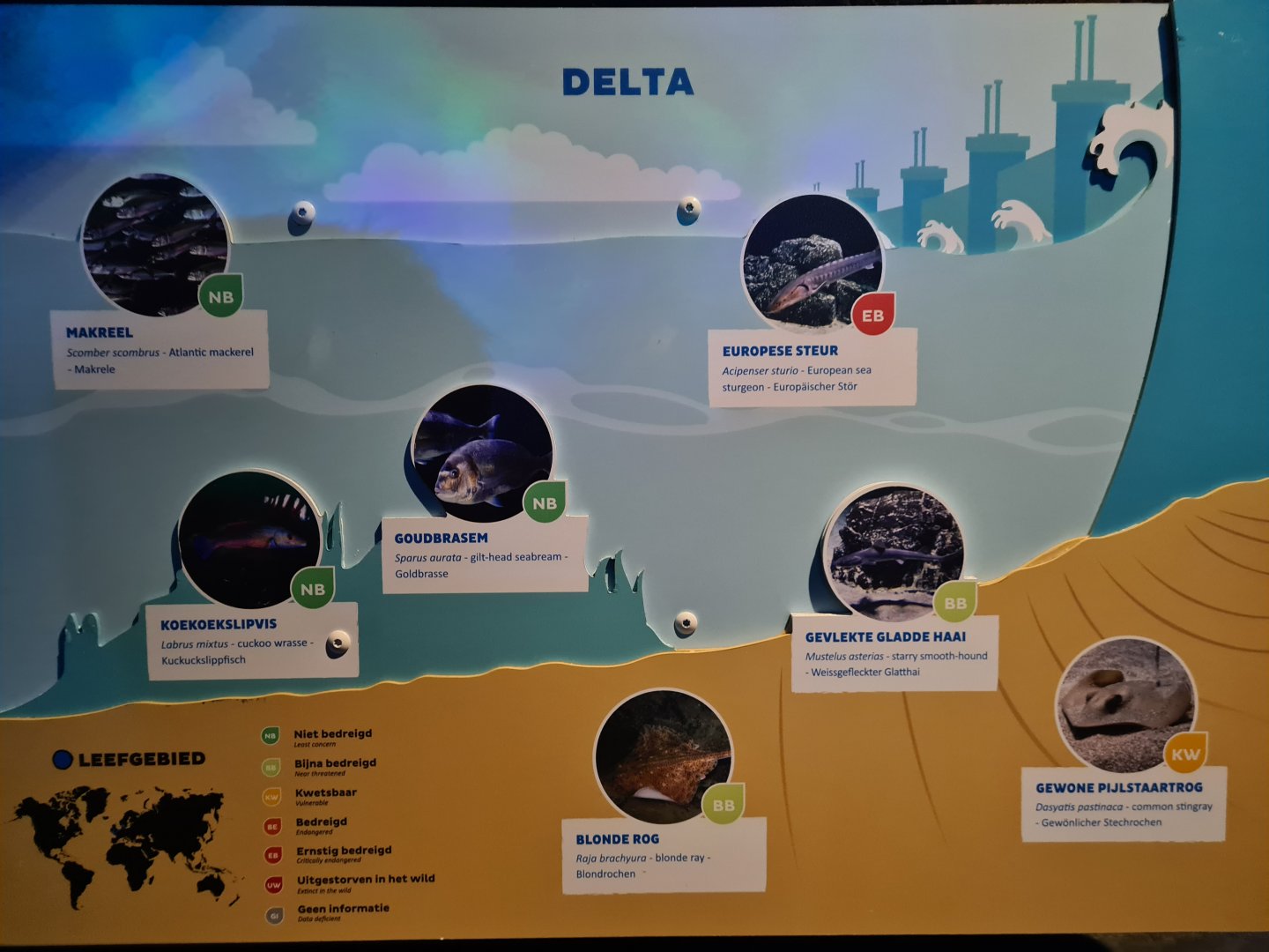 Oceanium - Delta aquarium signage