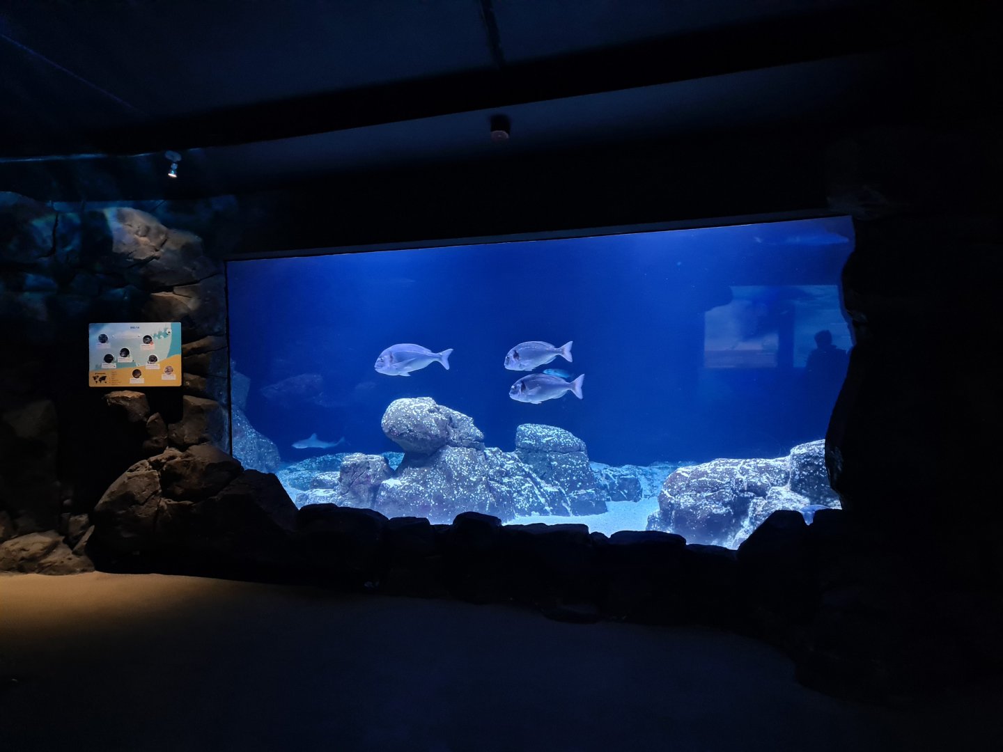 Oceanium - Delta aquarium