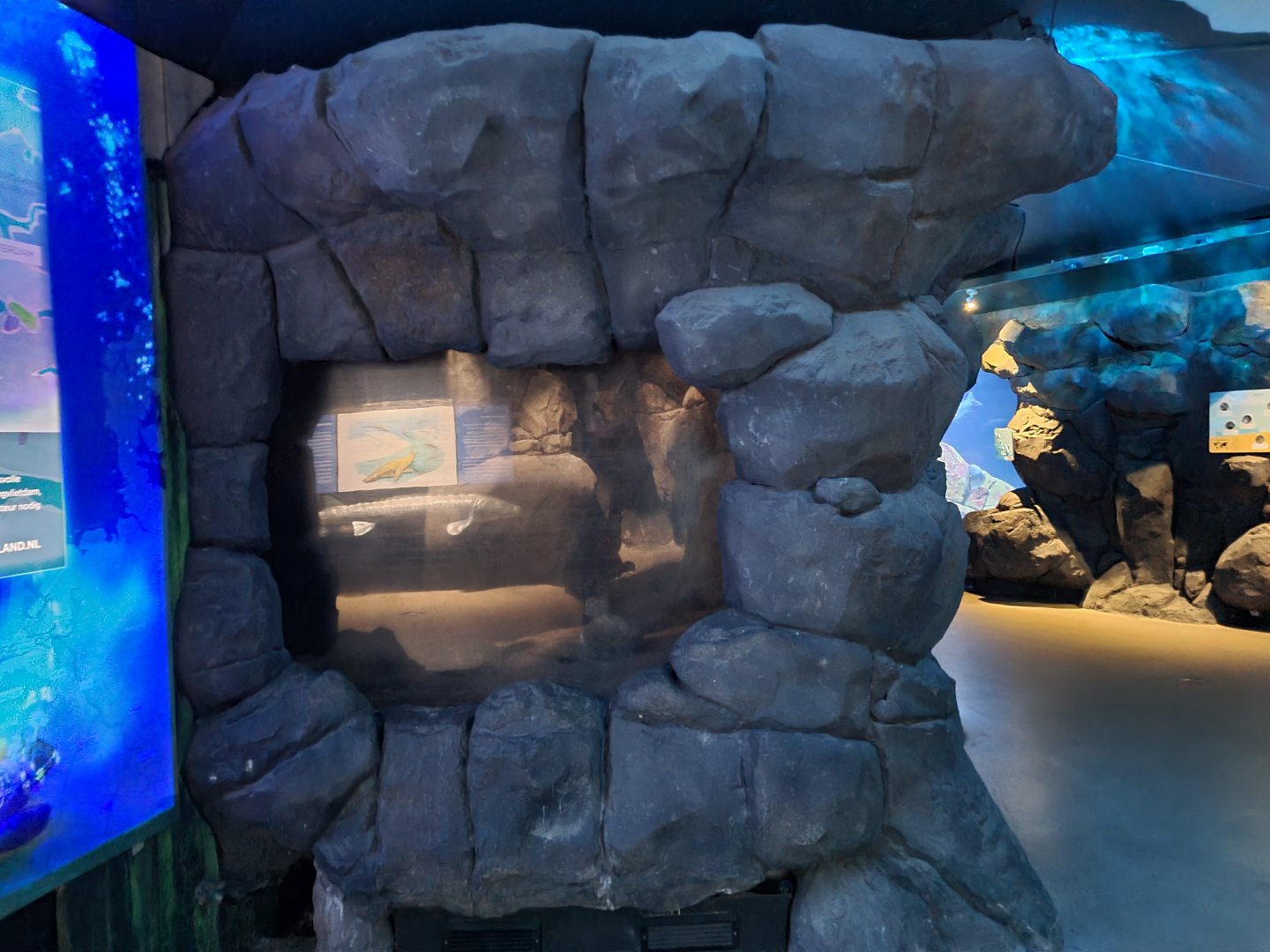 Oceanium - Empty aquarium