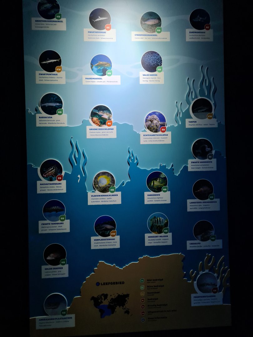 Oceanium - Endless Ocean aquarium signage