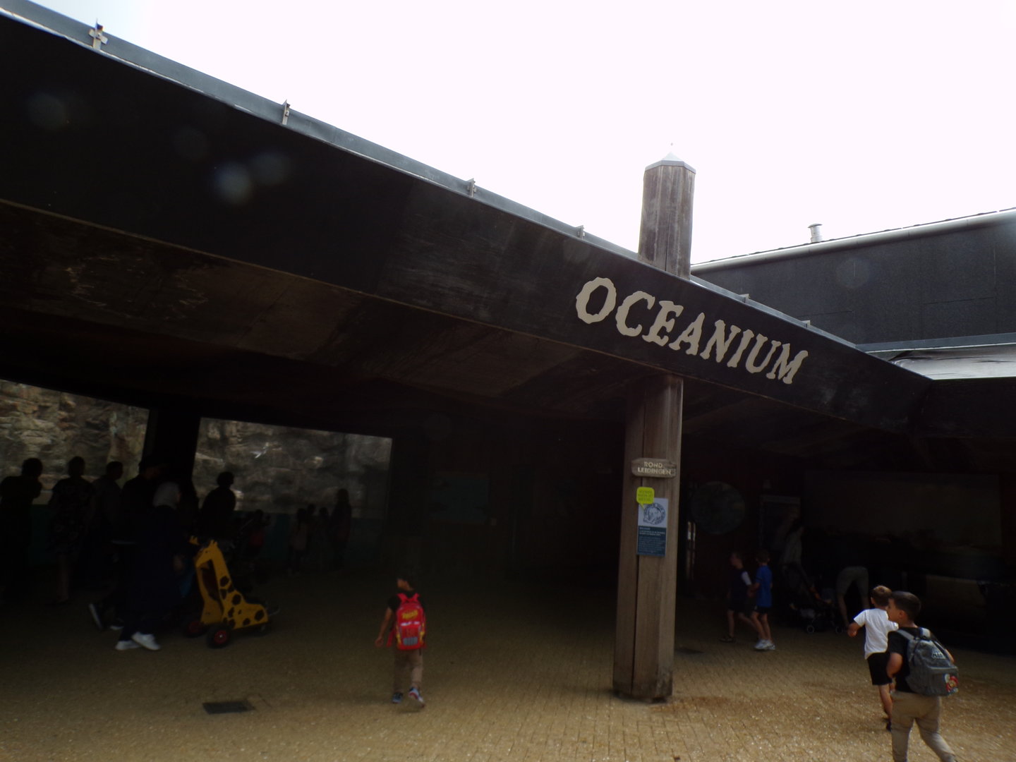 Oceanium- Entrance 13.7.23