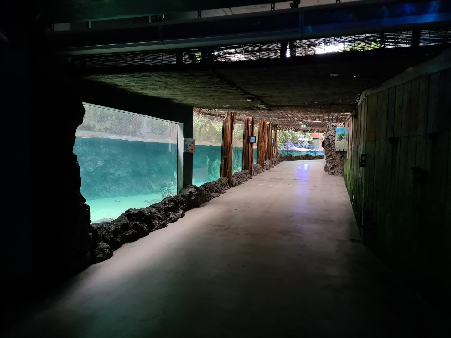 Oceanium - Entrance to Caribbean area