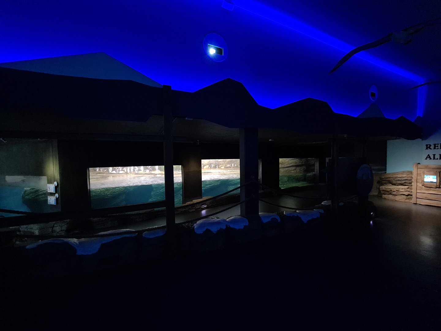 Oceanium - Falklands area