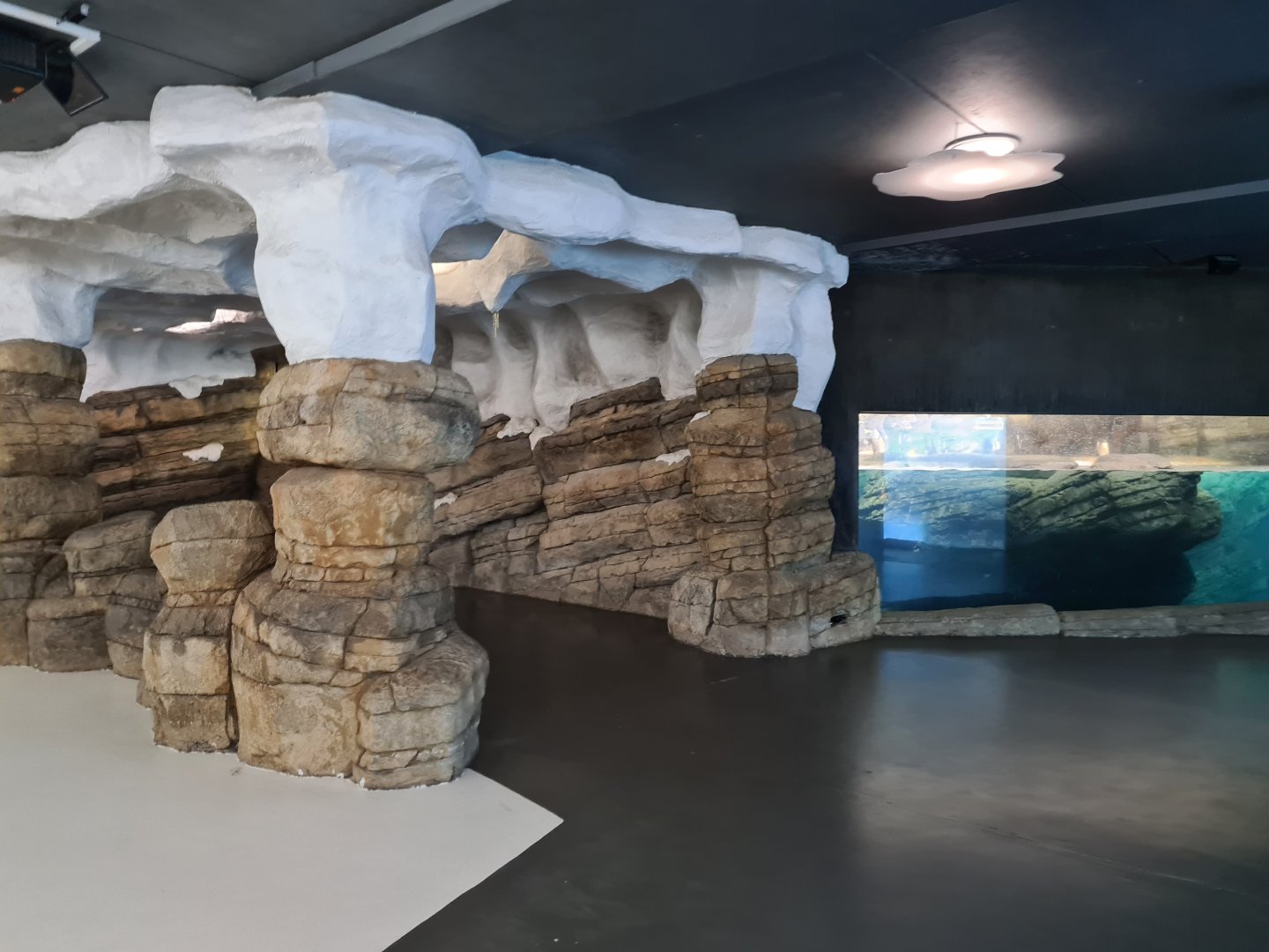 Oceanium - Falklands area