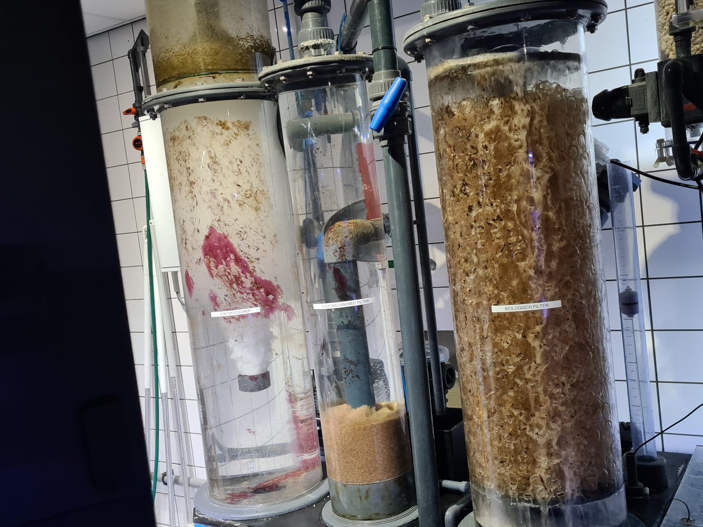 Oceanium - Filtration showcase in Ocean lab