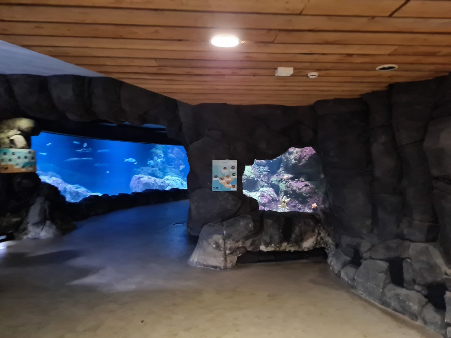 Oceanium - First area