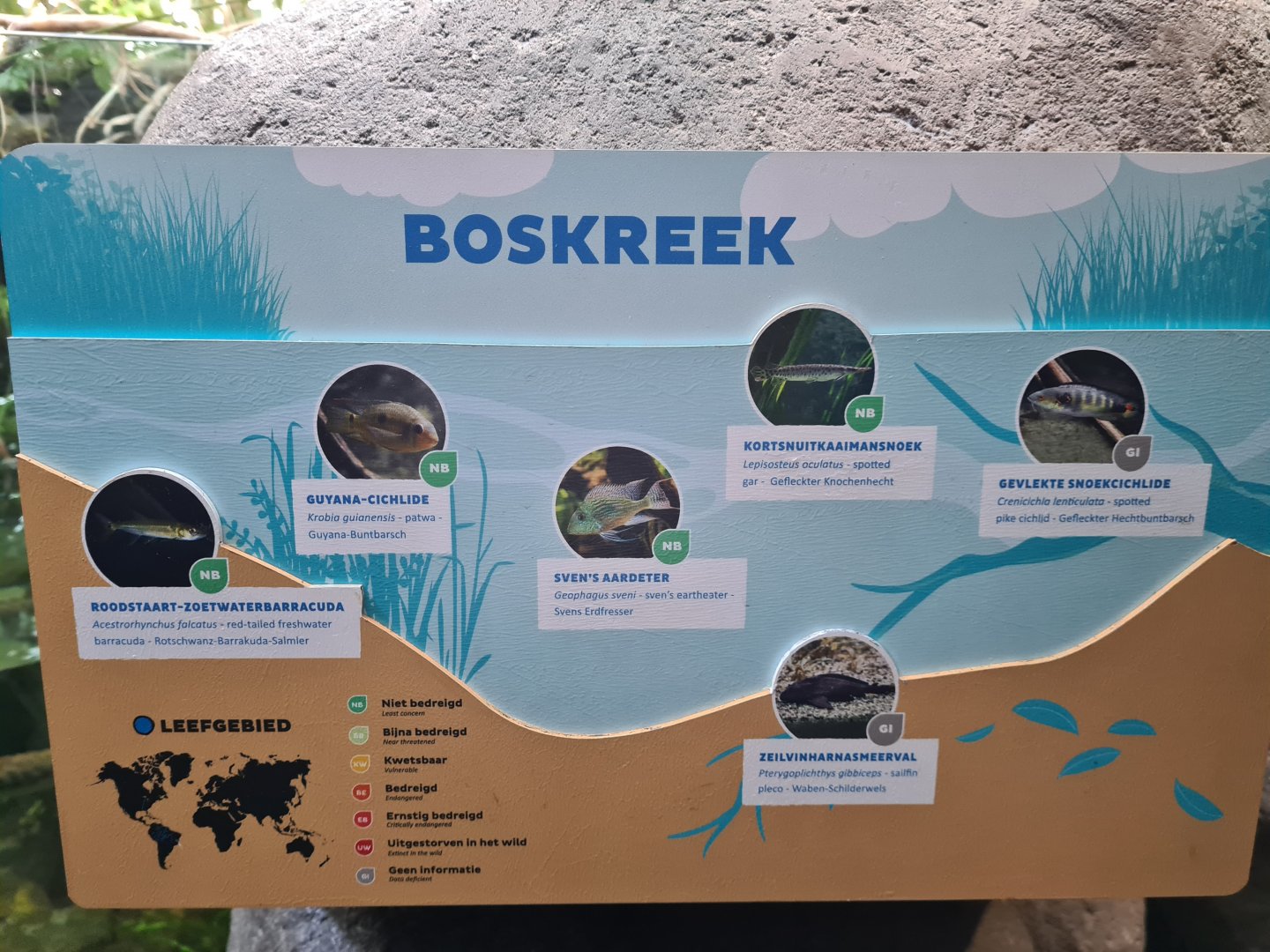 Oceanium - Forest creek aquarium signage