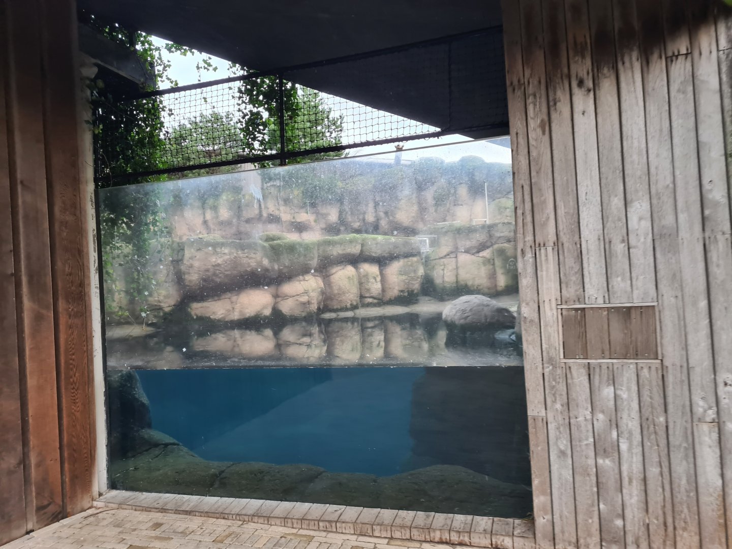 Oceanium - Former Sea otter enclosure (now empty)