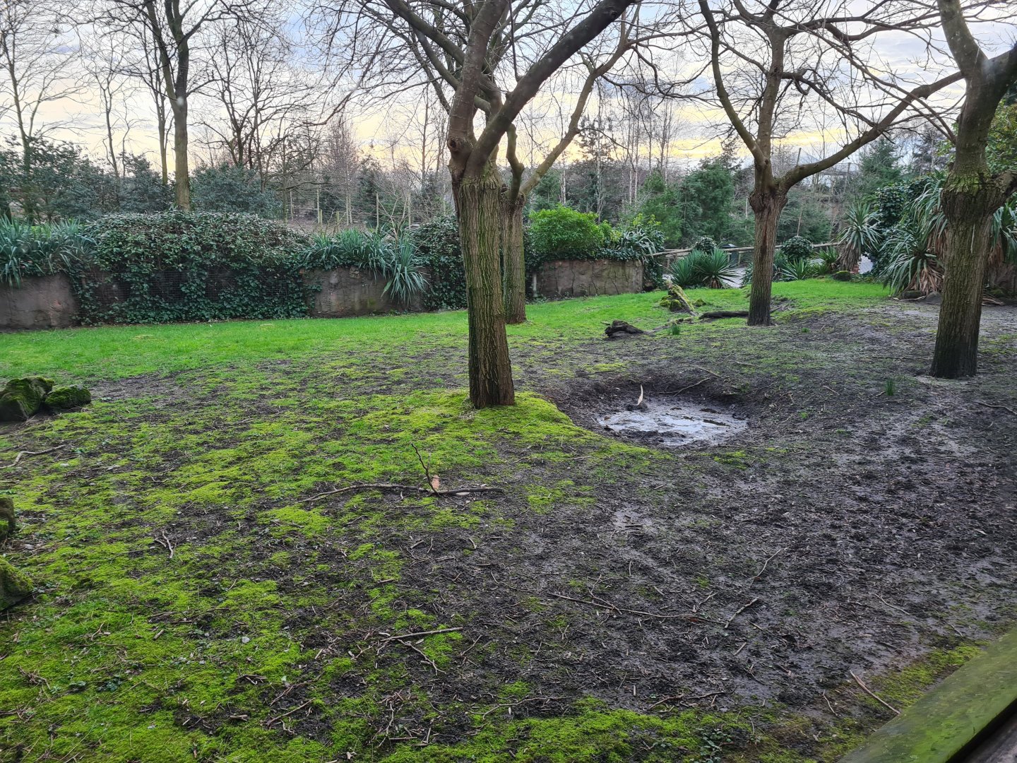 Oceanium - Galapagos giant tortoise outdoor enclosure
