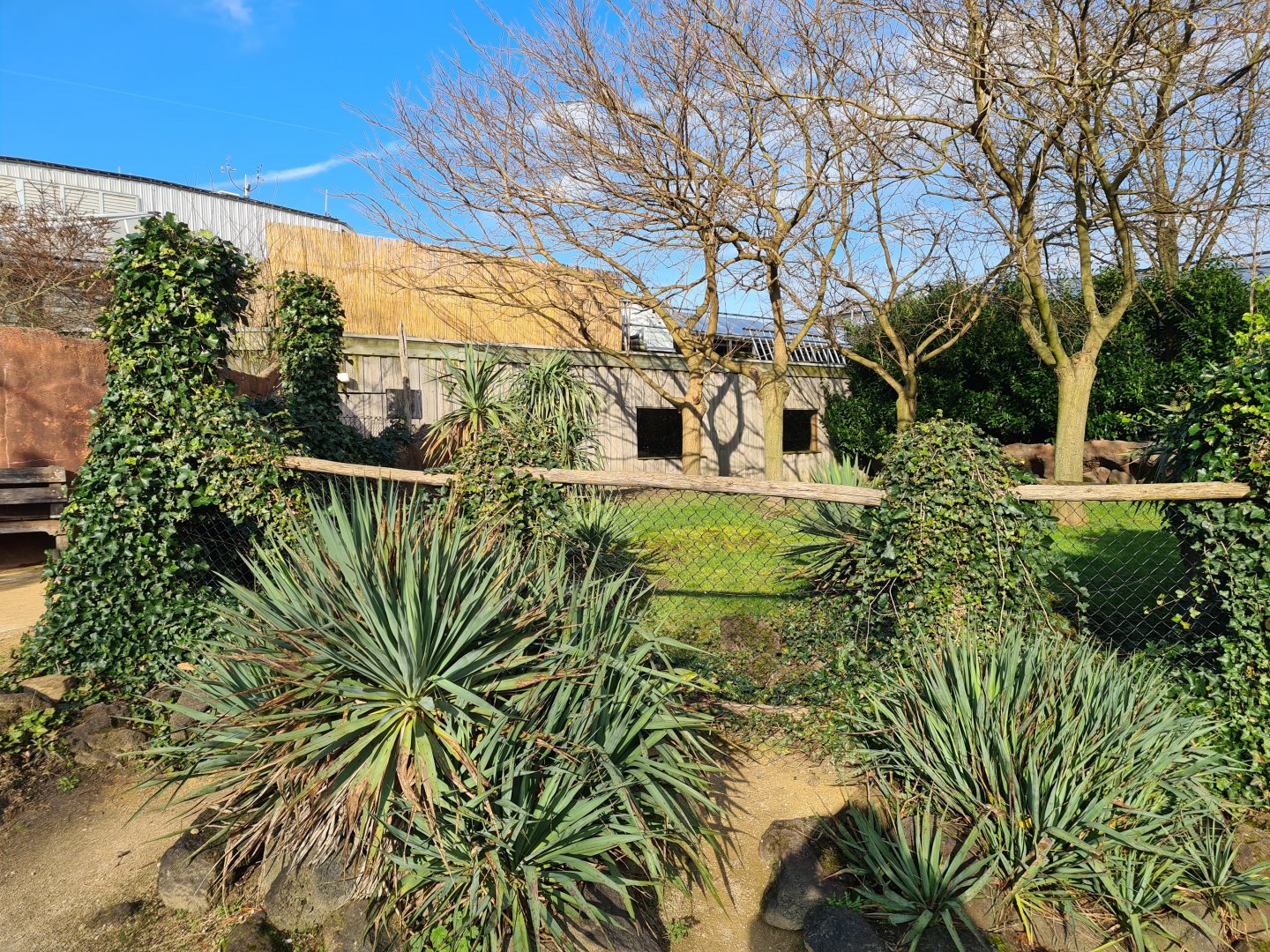 Oceanium - Galapagos giant tortoise outdoor enclosure