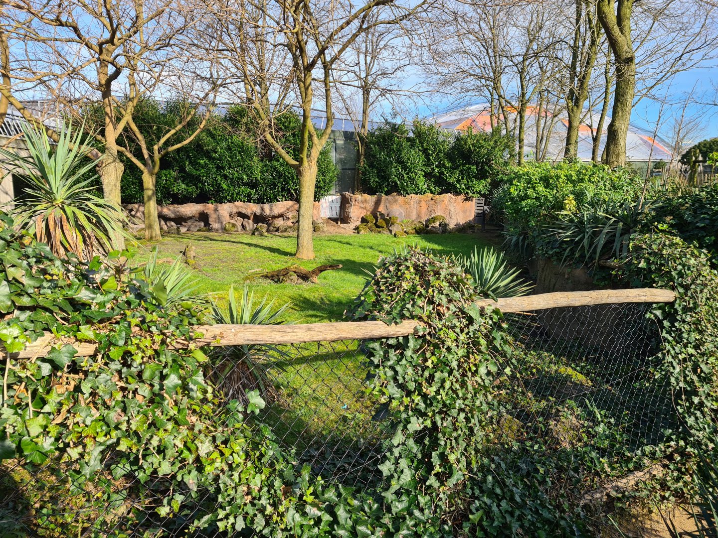 Oceanium - Galapagos giant tortoise outdoor enclosure