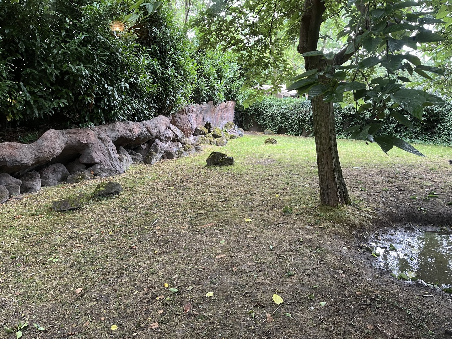 Oceanium- Galapagos tortoise enclosure 13.7.23