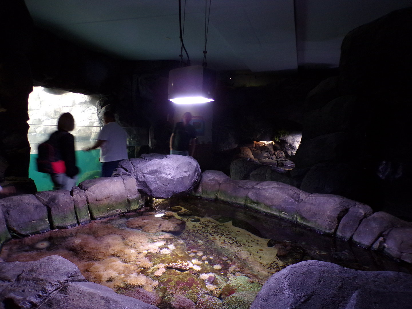 Oceanium- General view 13.7.23