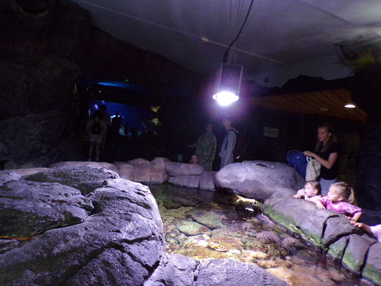 Oceanium- General view 13.7.23