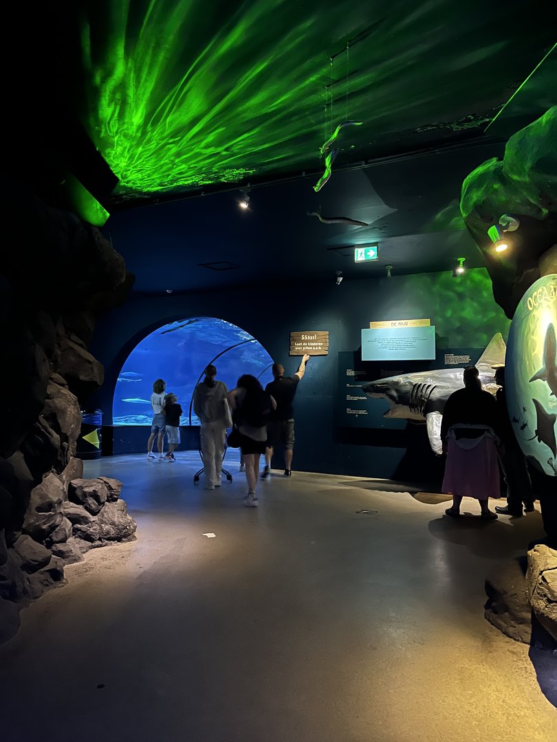 Oceanium- General view 13.7.23