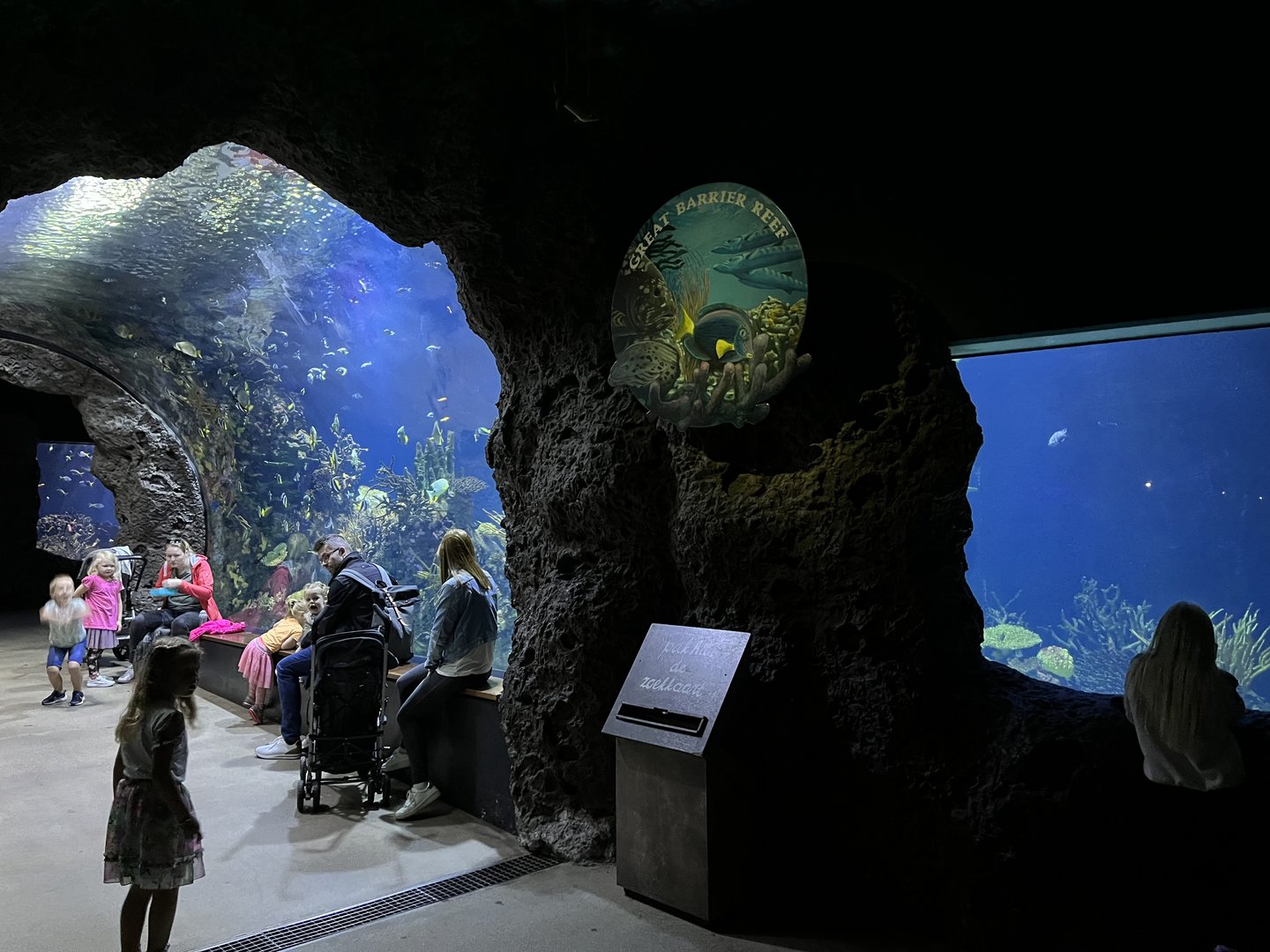 Oceanium- General view 13.7.23