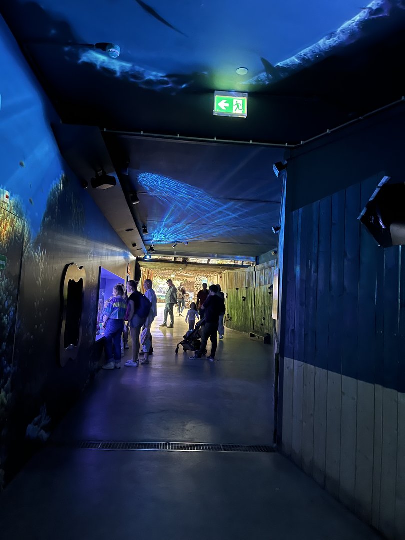 Oceanium- General view 13.7.23