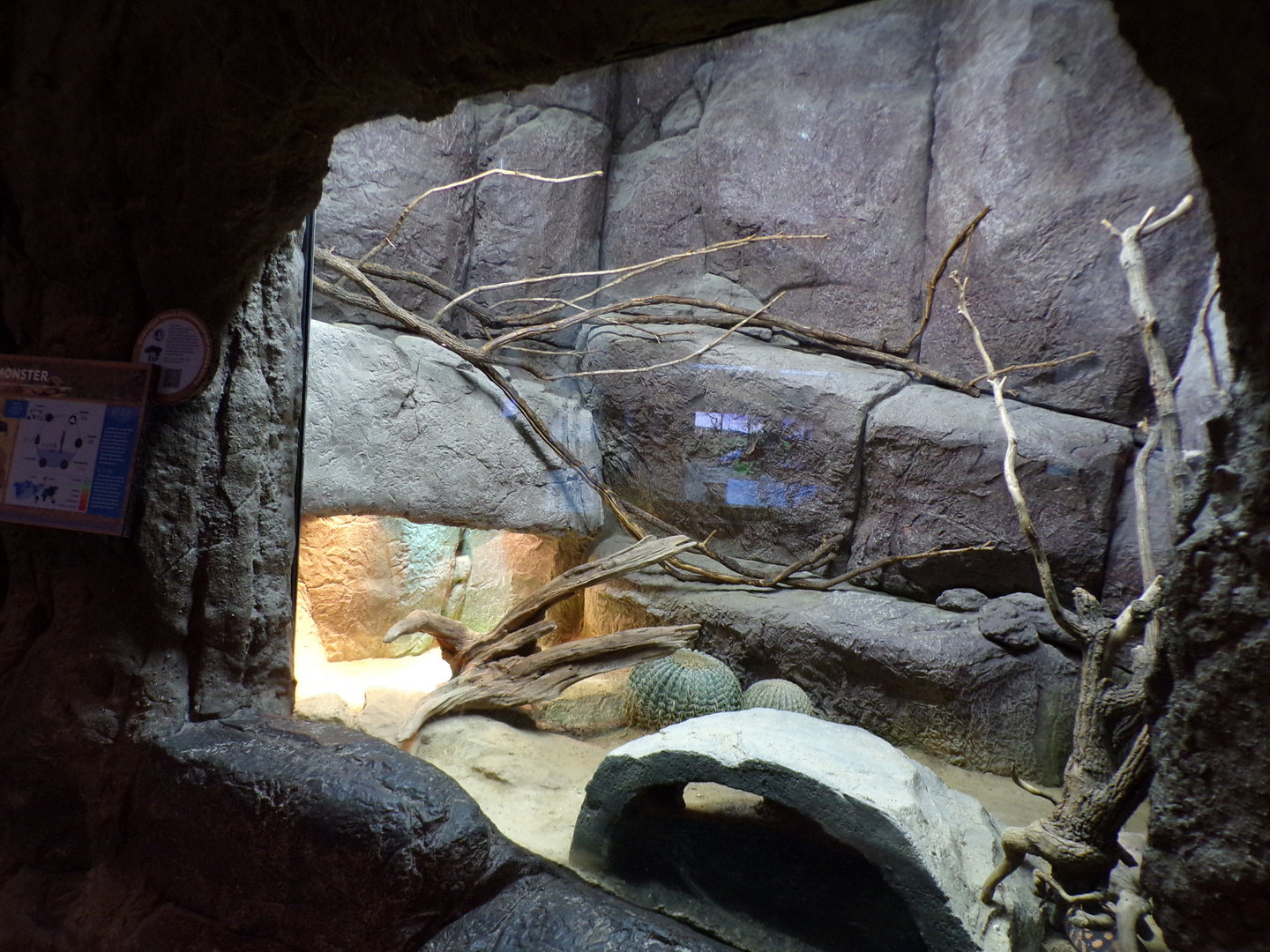 Oceanium- Gila monster enclosure 13.7.23