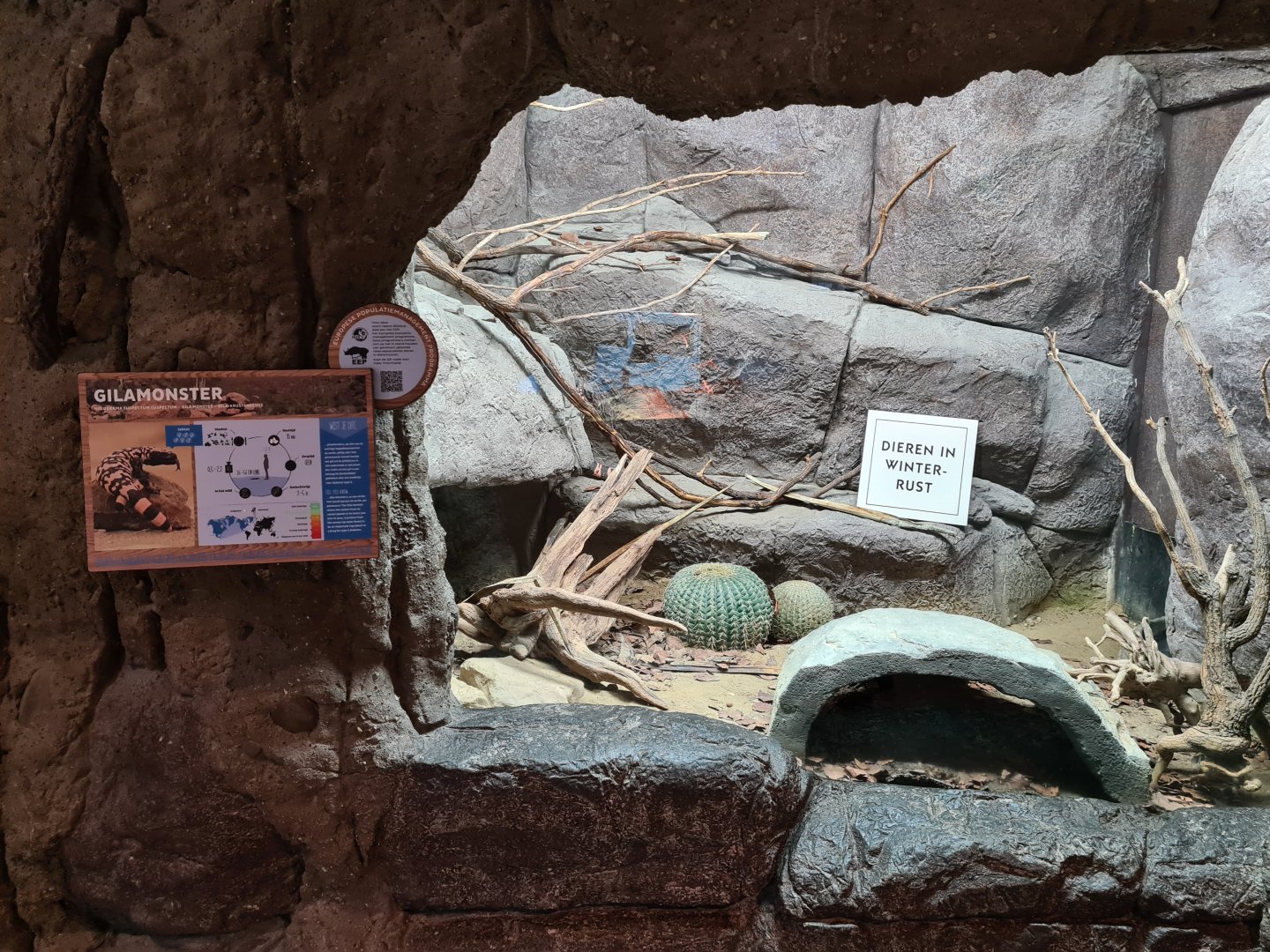 Oceanium - Gila monster enclosure in Conservation centre
