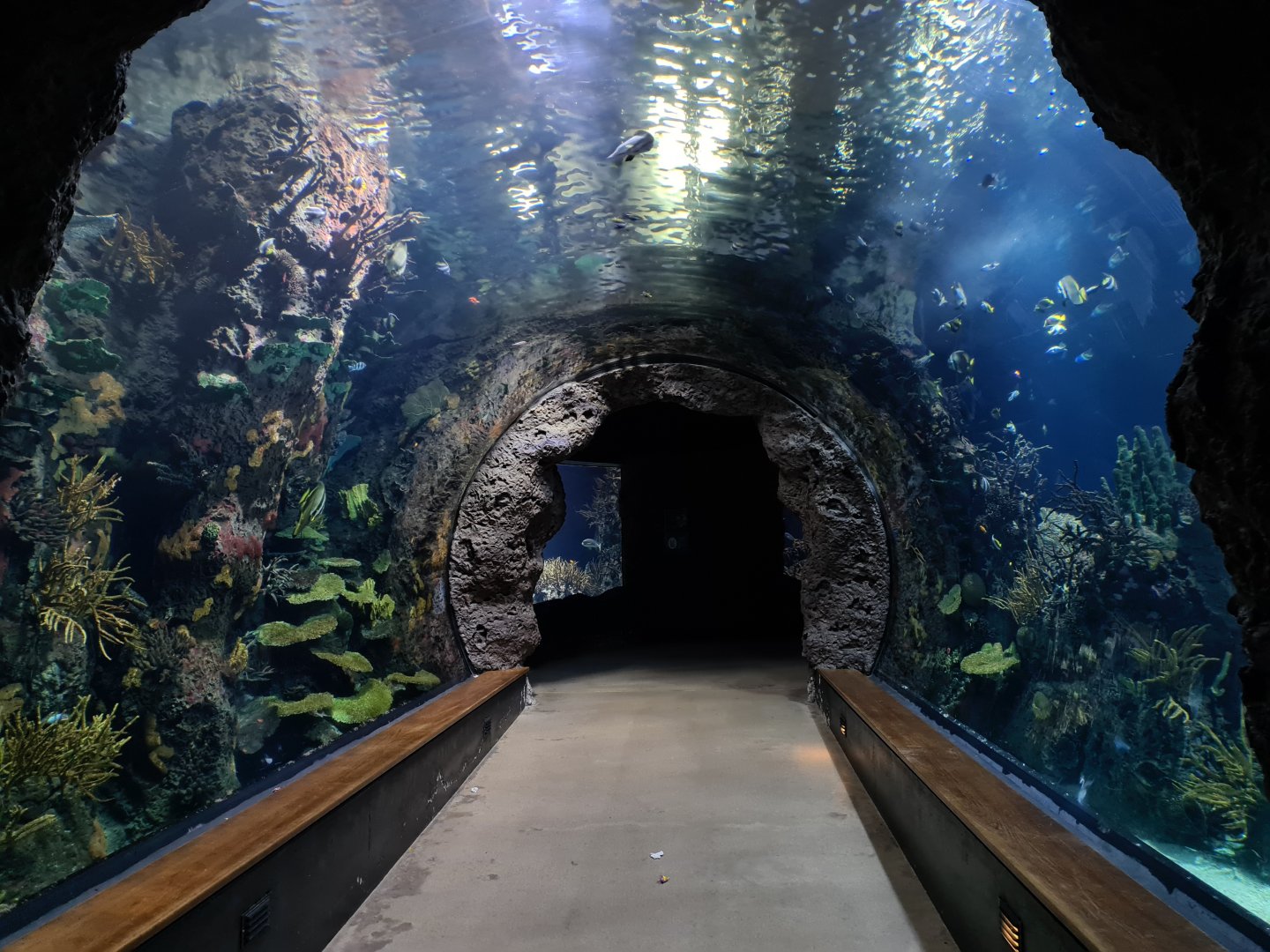 Oceanium - Great Barrier reef tunnel