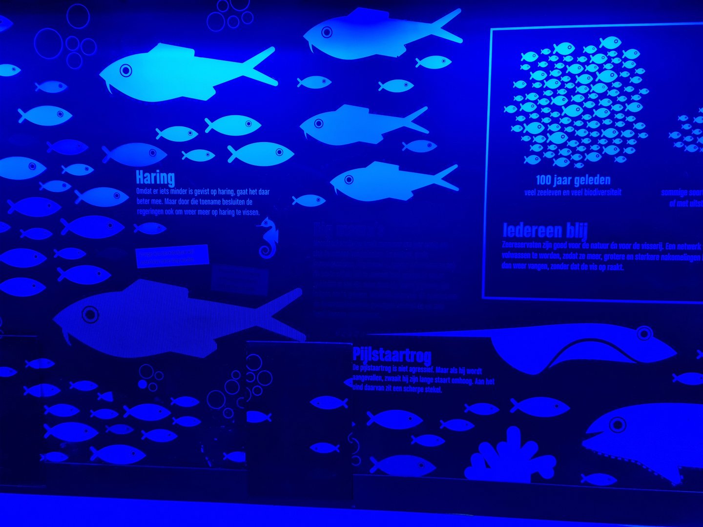 Oceanium - Information in Sea reserve room